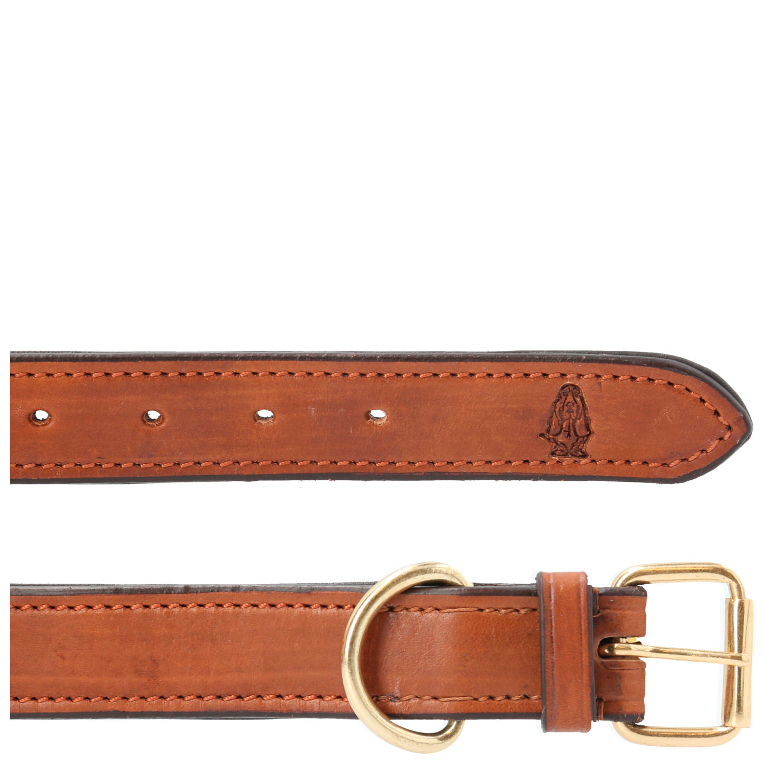 Collar para Perro de Cuero Hp Dog Collar