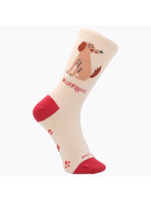 Calcetin Algodón Niño C Mestizo Beige/Crudo Hush Puppies