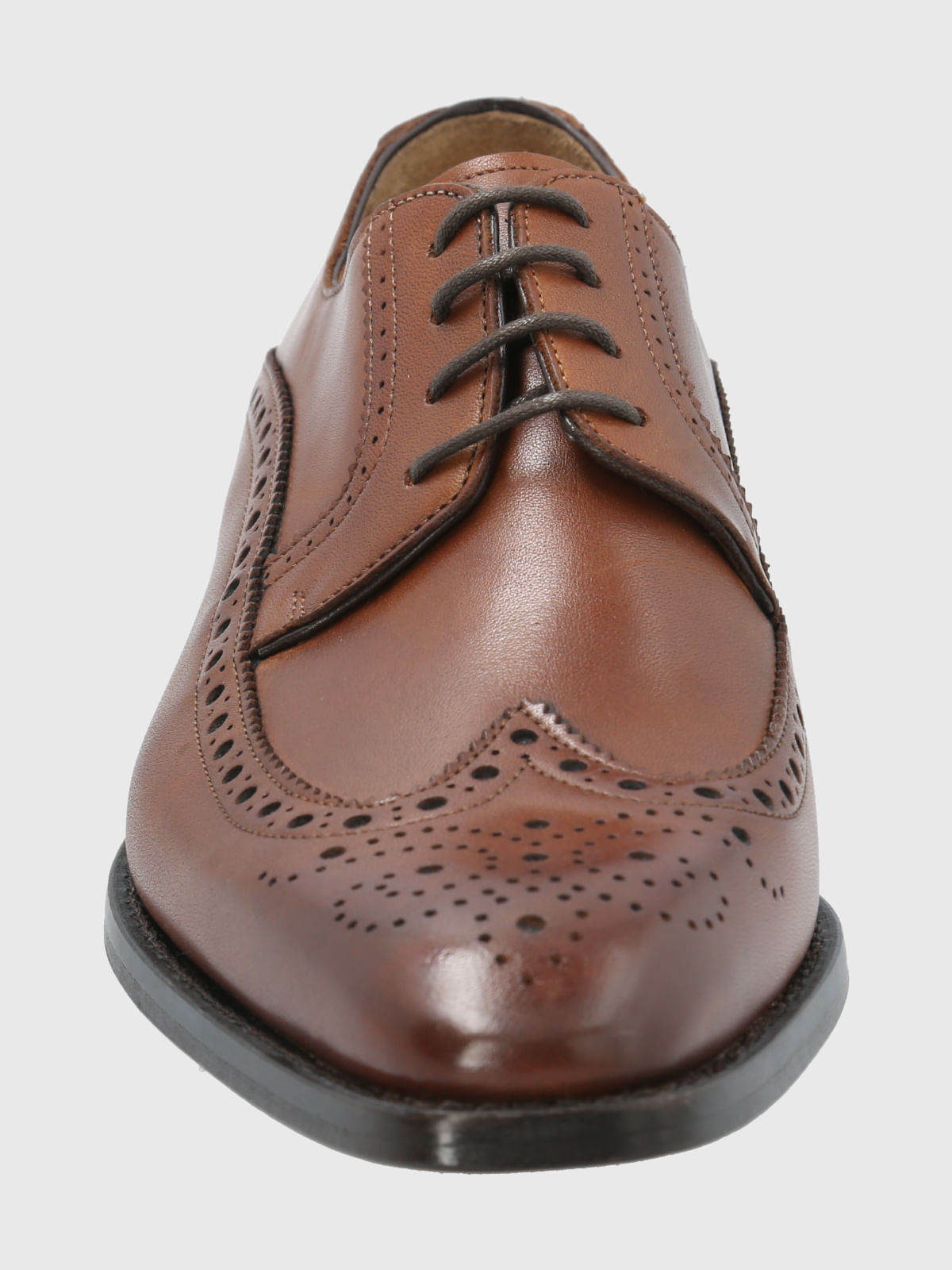 Zapato Vestir Cuero Hombre Marino Café