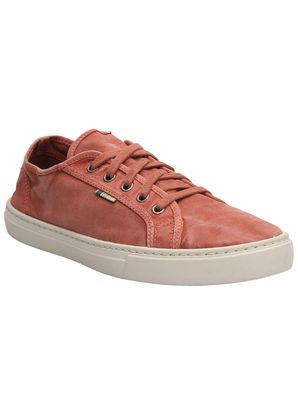 Zapatilla Algodón Orgánico Hombre Bronte Terracota Rockford