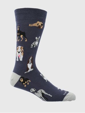 Calcetin Algodón Hombre C Cuff Dogs Azul Hush Puppies