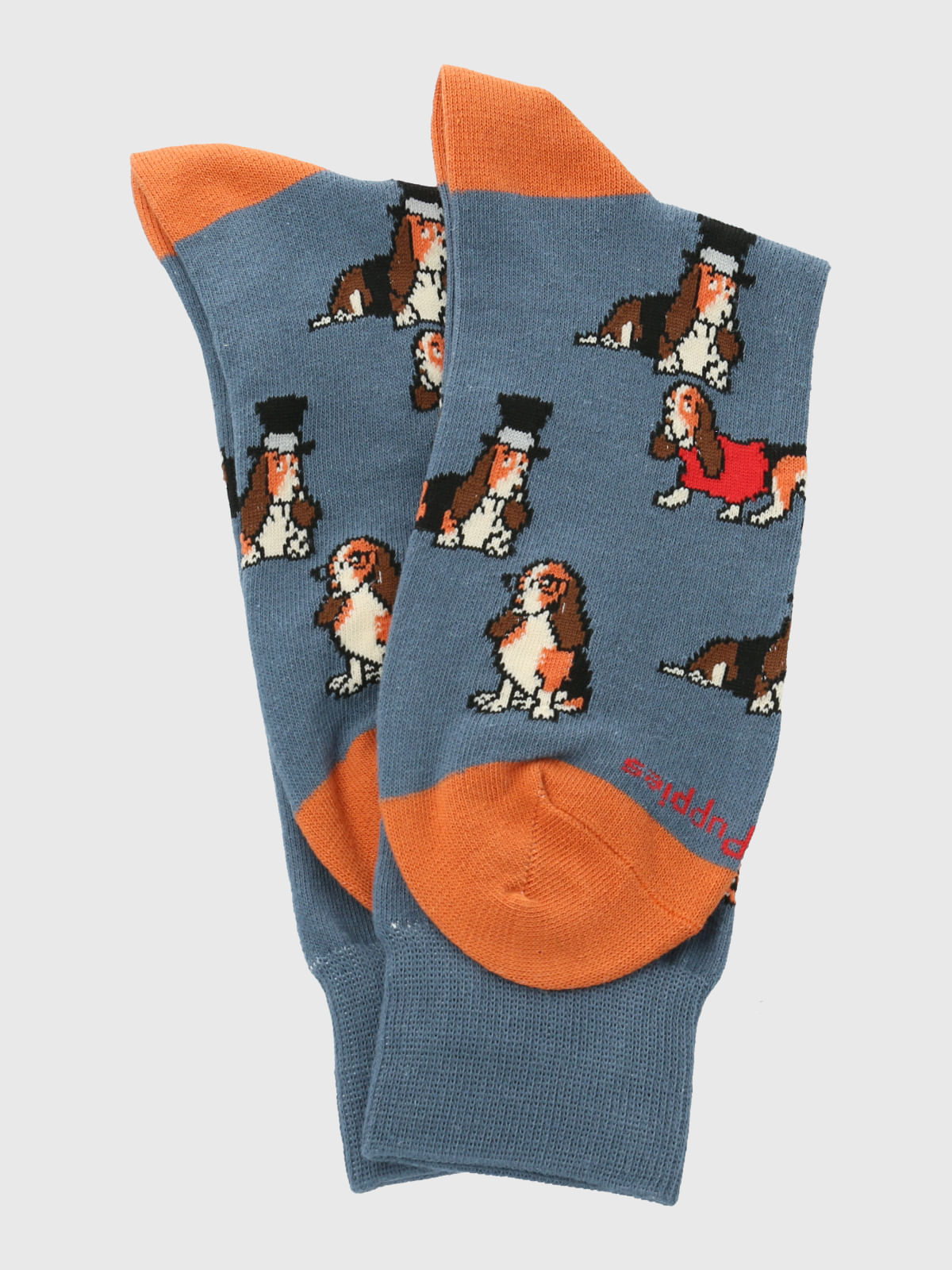 Calcetin Algodón Hombre C Hat Basset Azul Hush Puppies