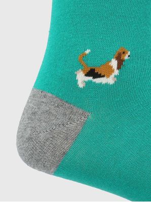 Calcetin Algodón Hombre C Basset Verde Hush Puppies