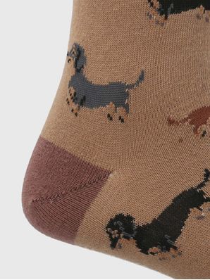 Calcetin Algodón Hombre C Dachshund Café Hush Puppies