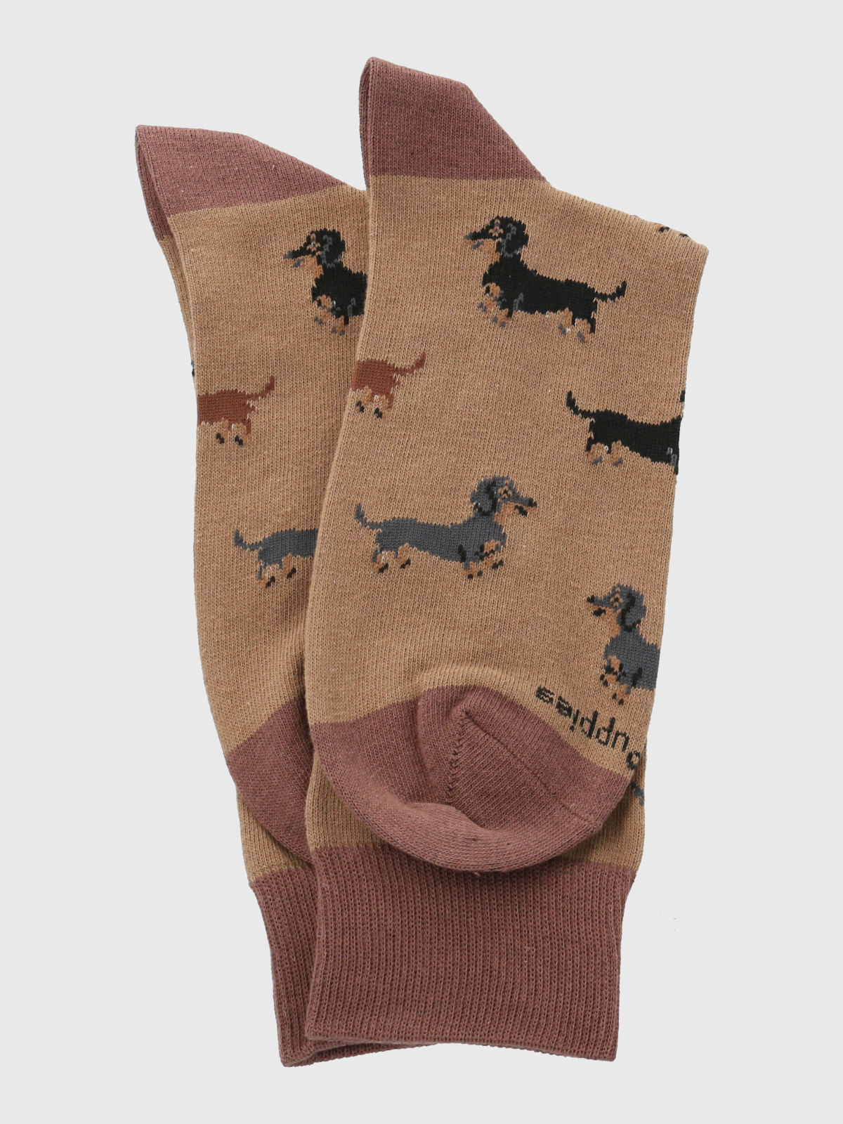 Calcetin Algodón Hombre C Dachshund Café Hush Puppies