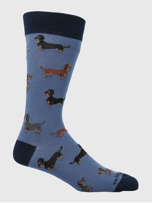 Calcetin Algodón Hombre C Dachshund Azul Hush Puppies