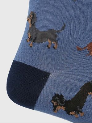 Calcetin Algodón Hombre C Dachshund Azul Hush Puppies