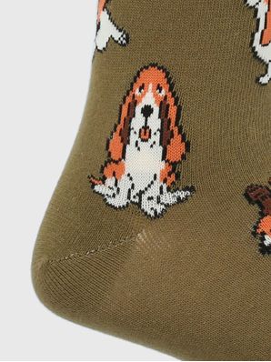 Calcetin Algodón Hombre C Cowdog Verde Hush Puppies