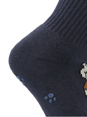 Calcetin Algodón Niño C Dog Sportrib Azul Hush Puppies