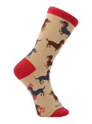 Calcetin Algodón Niño C Dachshund Beige/Crudo Hush Puppies