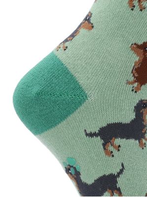 Calcetin Algodón Niño C Dachshund Verde Hush Puppies
