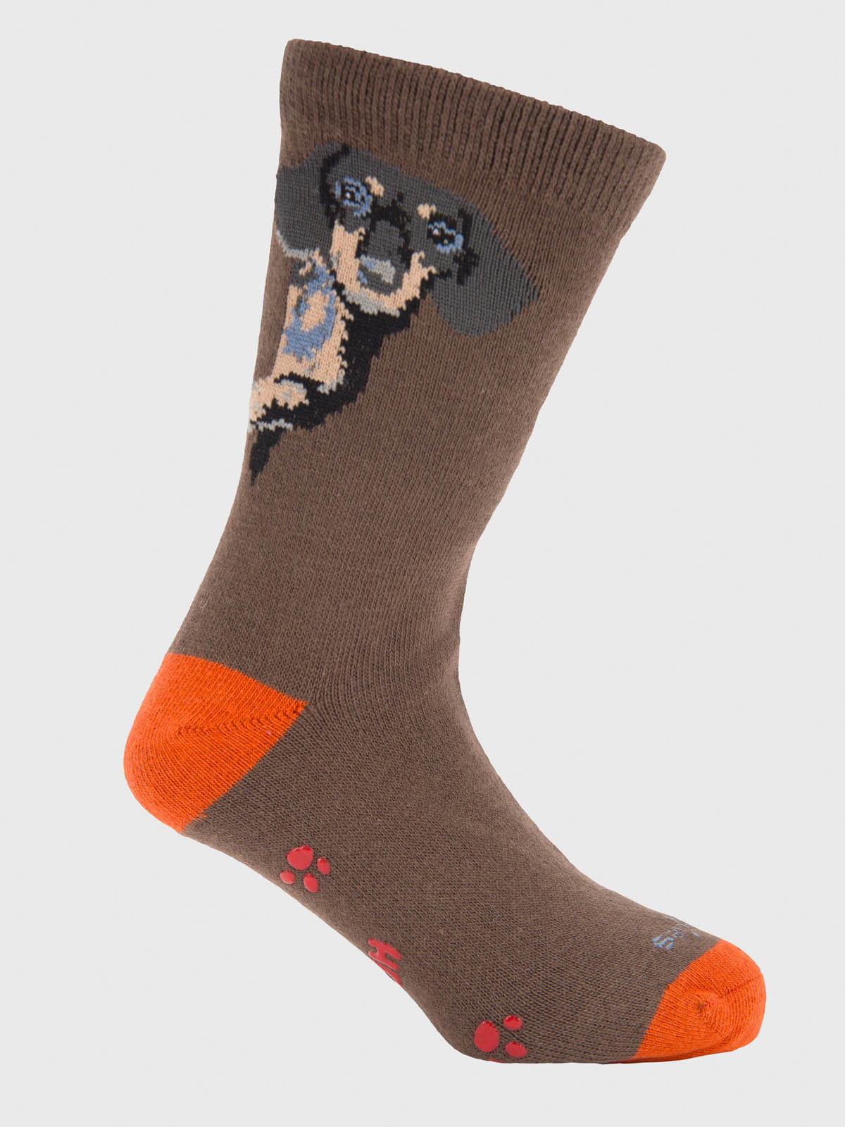 Calcetin Algodón Niño C Dachshund Café Hush Puppies