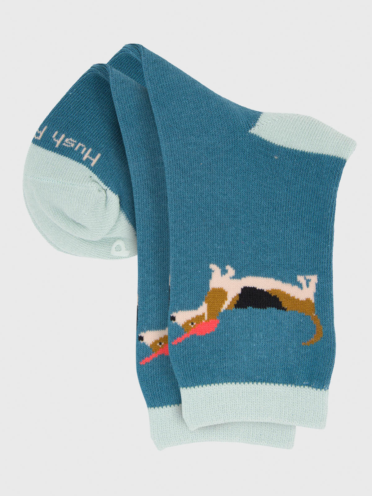 Calcetin Algodón Niño C Cap Dog Azul Hush Puppies